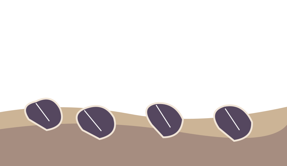 Illustration of polymetallic nodules resting on the deep ocean floor